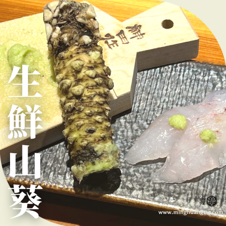 生鮮山葵 新鮮山葵