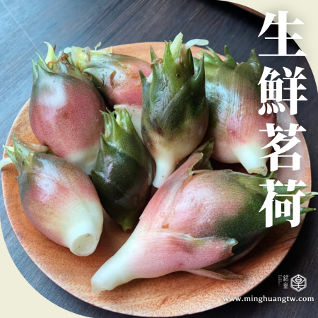 銘皇自產自銷 │ 茗荷 生鮮茗荷 蘘荷